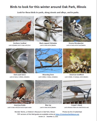 WInterBirdsFieldGuide