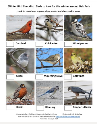 WinterBirdsScavengerHunt