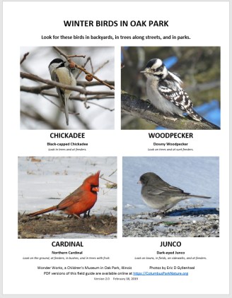 SimplifiedWinterBirds