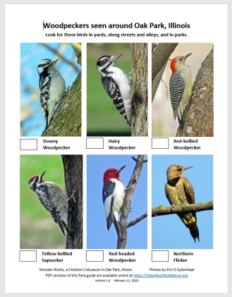 WoodpeckersCHECKLIST