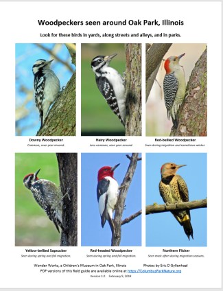 WoodpeckersFieldGuide