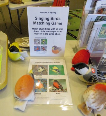 SingingBirdsMatchingGame19-03-15_2788