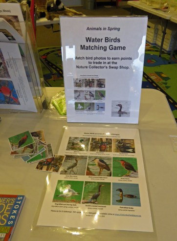 WaterBirdsMatchingGame19-03-15_2792