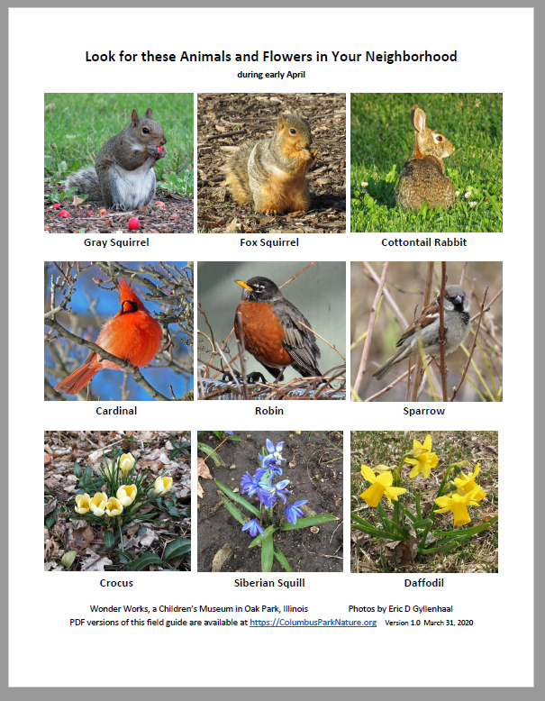 AnimalsFlowersNeighborhood