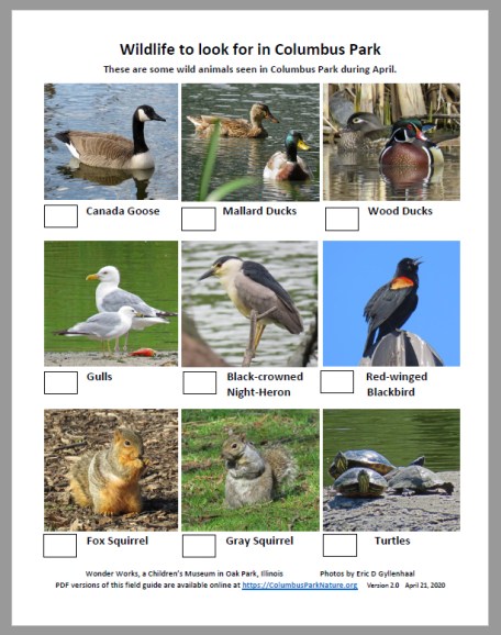 April Wildlife Columbus Park