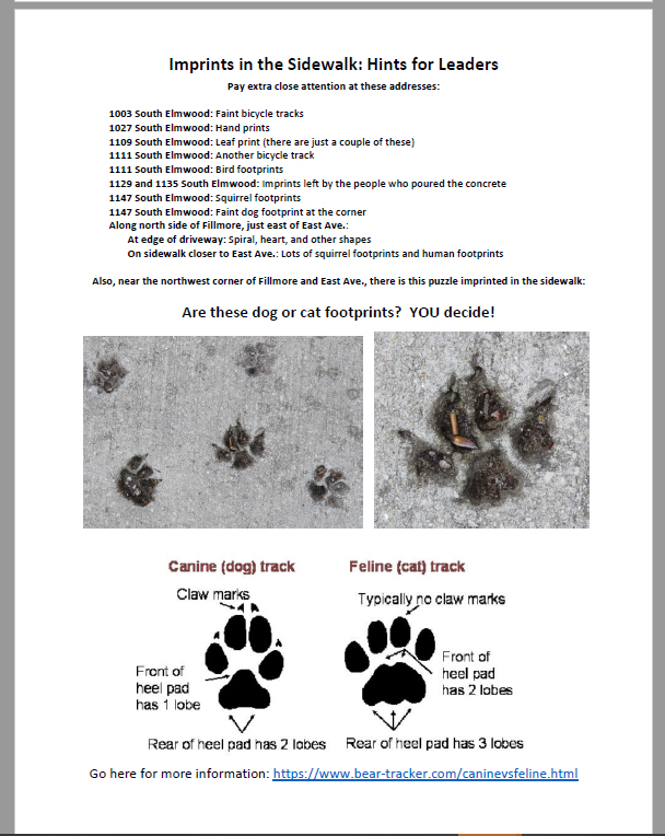 Prints-in-Sidewalk-2