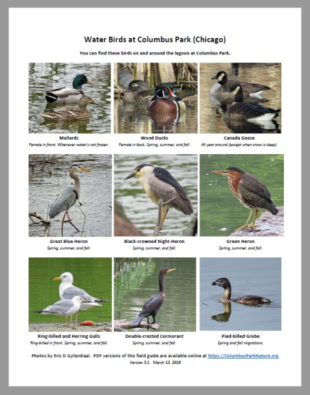 Water-Birds-at-Columbus-Par