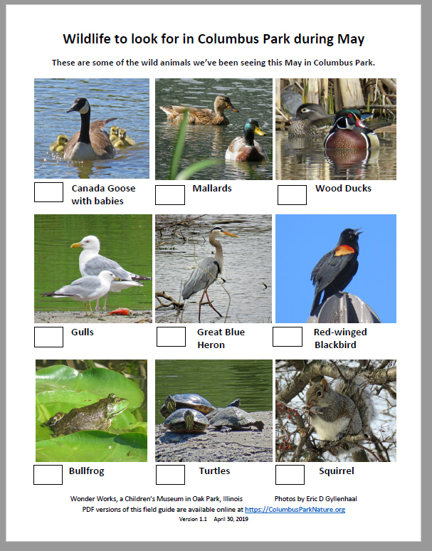 WildlifeColumbusMay